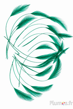 Haan - 10-15 cm - smaragd